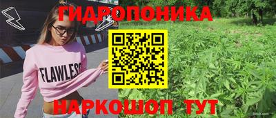 spice Чебаркуль